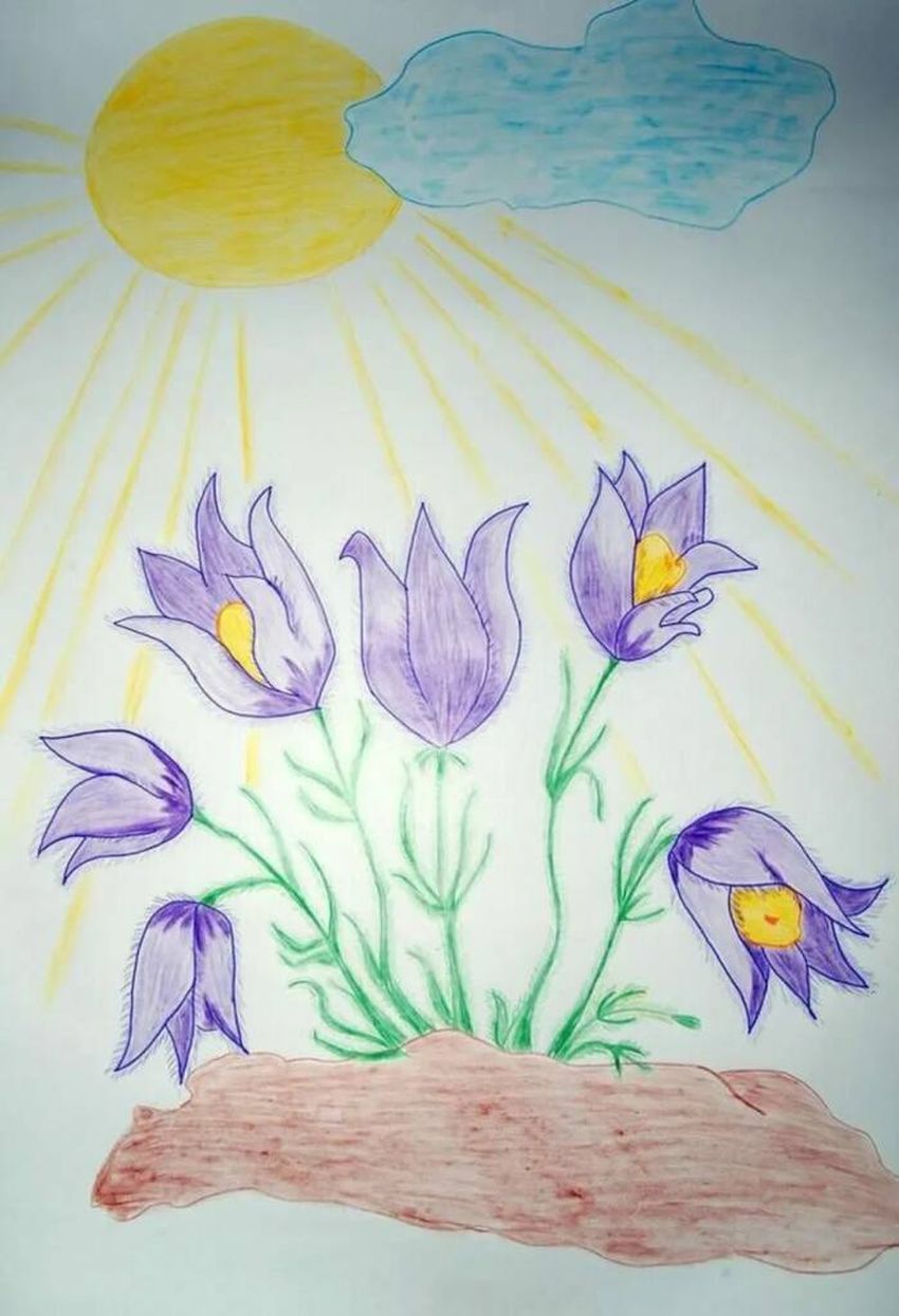 Рисунки весны для срисовки легкие. Детские рисунки.