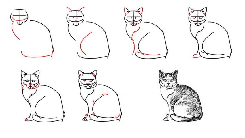 Рисунок поэтапной кошки
