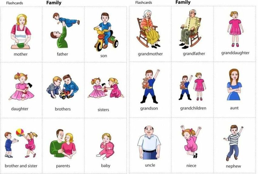 Карточки family members Карточки семья для детей