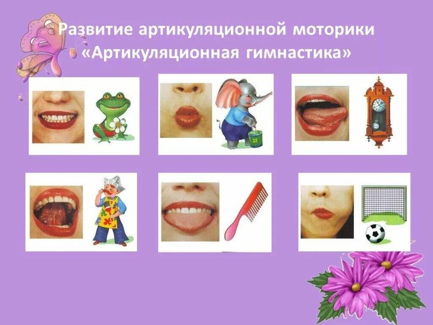 Артикуляционная гимнастика Артикуляционная гимнастика для звука