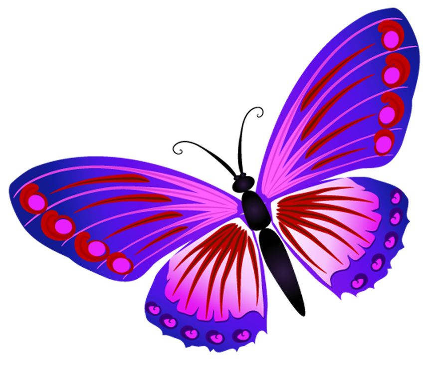 Бабочка рисунок для детей