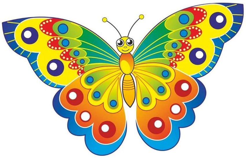 Клипарт бабочка