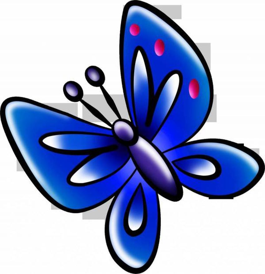 Клипарт бабочка