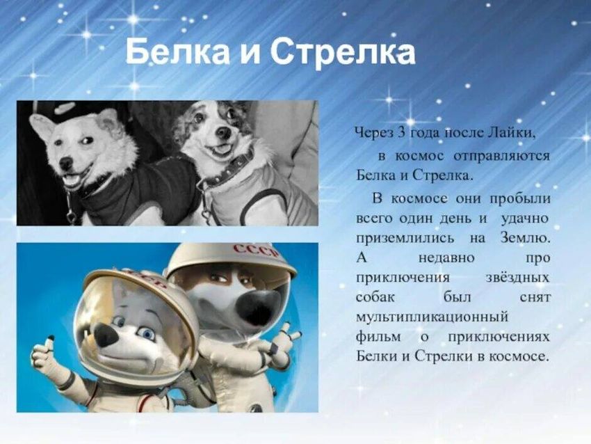 Белка и стрелка в космосе