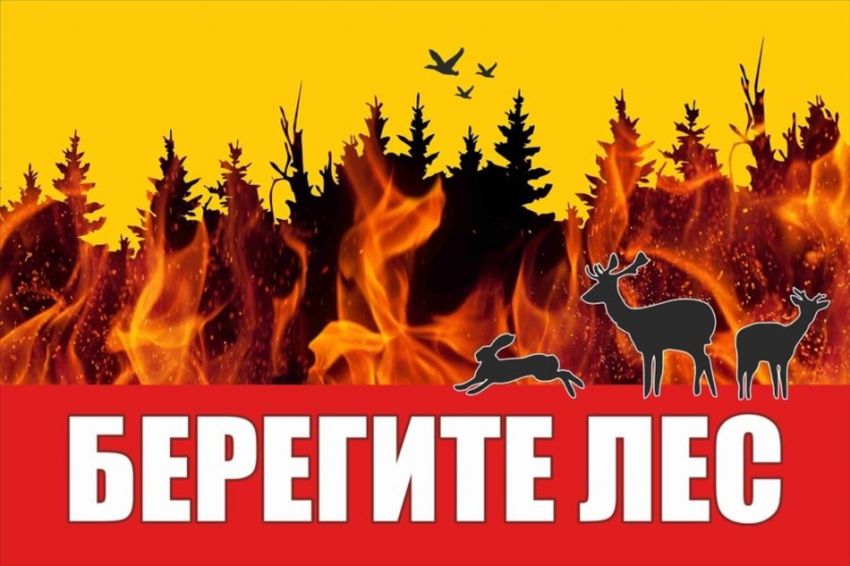 Противопожарная безопасность в лесу