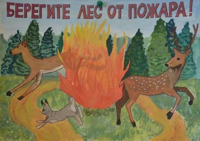 Берегите лес от пожара рисунки