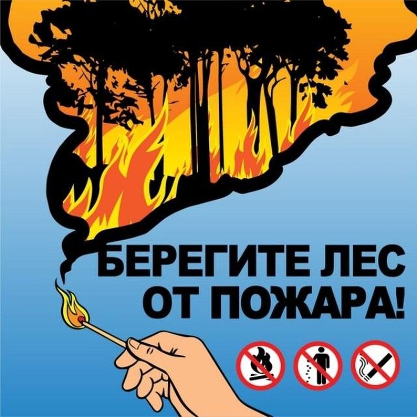 Берегите лес