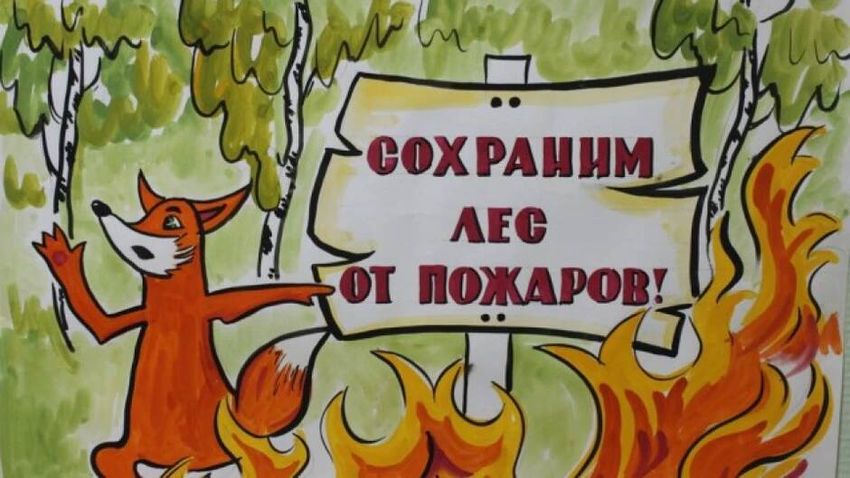 Рисунок на тему берегите лес от пожара