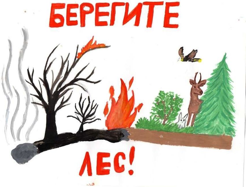 Берегите лес