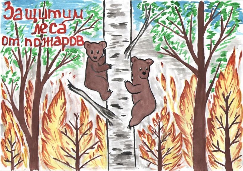 Рисунок на тему защита леса