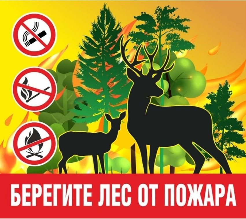 Берегите лес