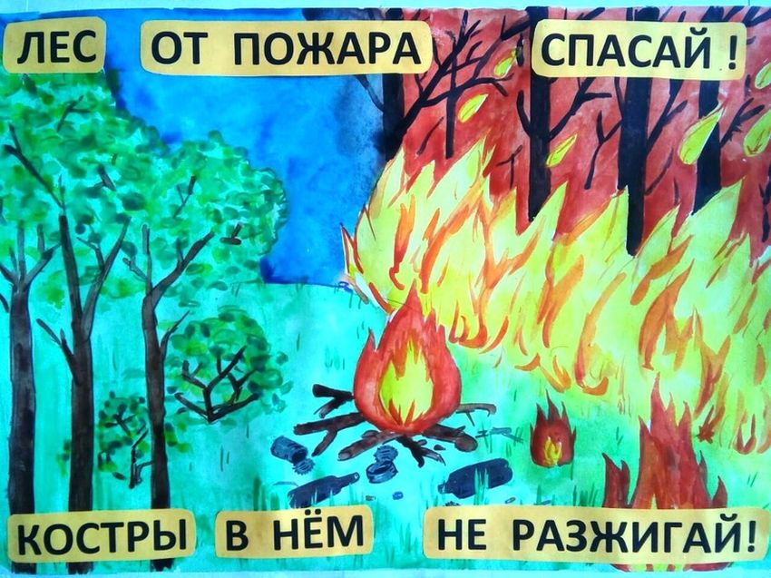 Плакат берегите лес