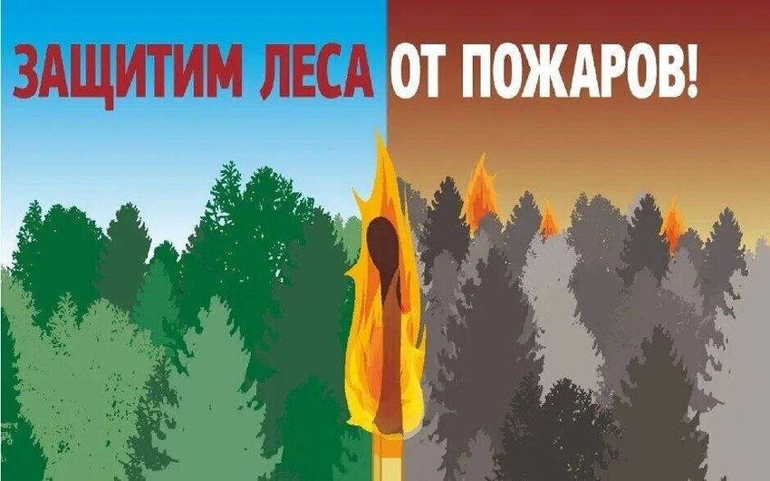 Берегите лес