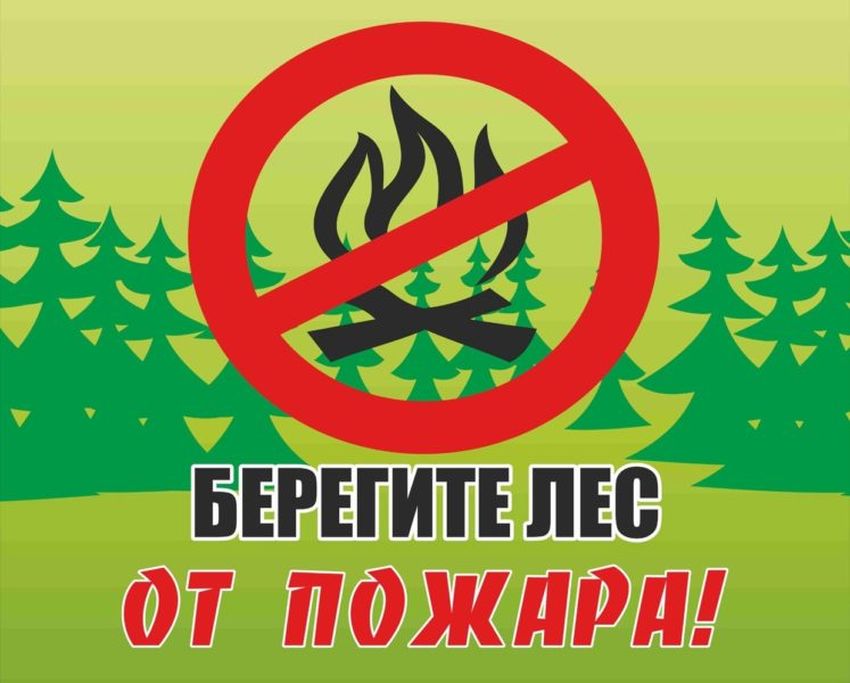 Пожарная безопасность в лесу