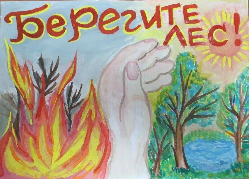 Берегите лес