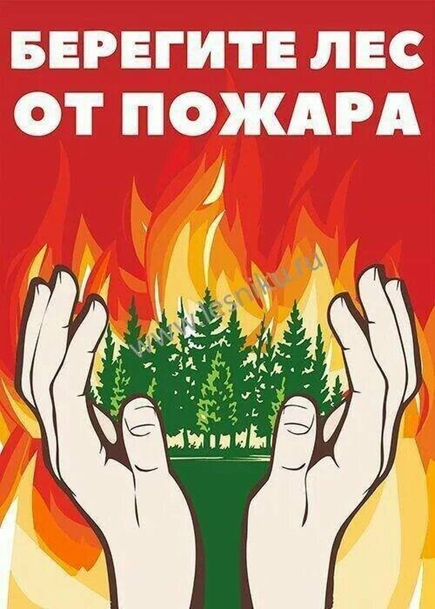 Берегите лес