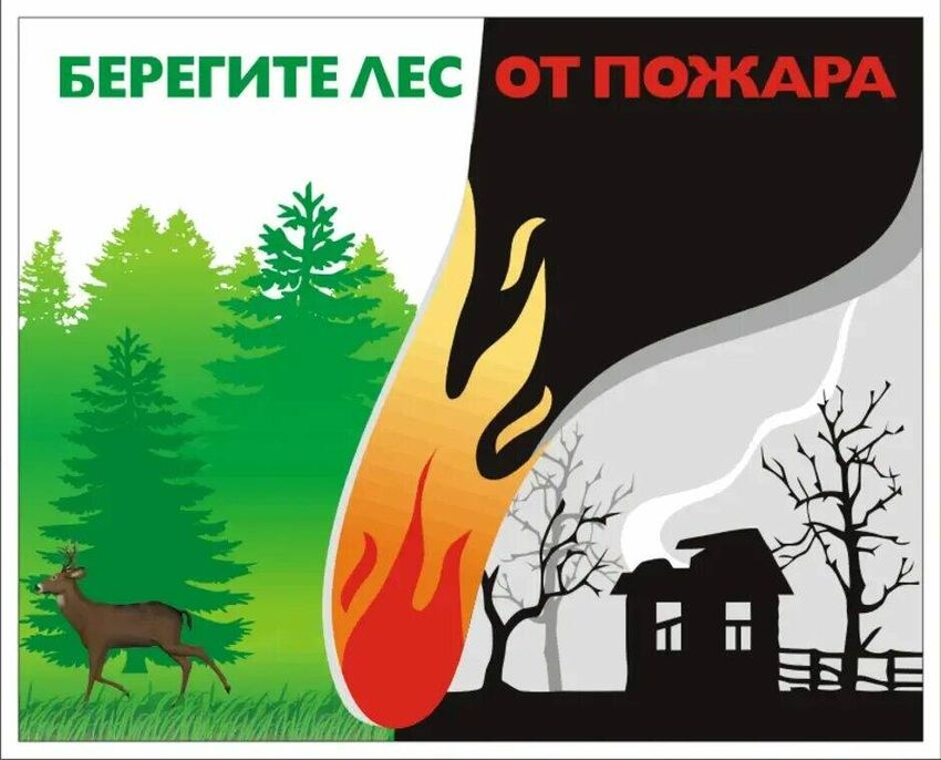 Берегите лес от пожара