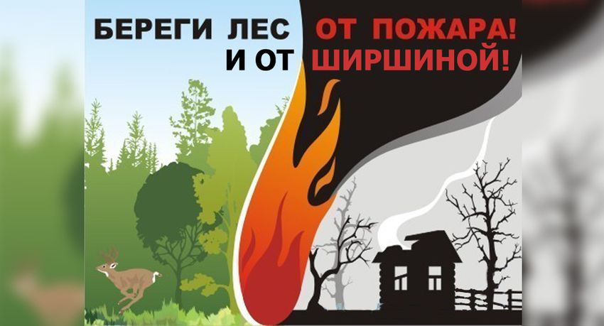 Лес от пожара