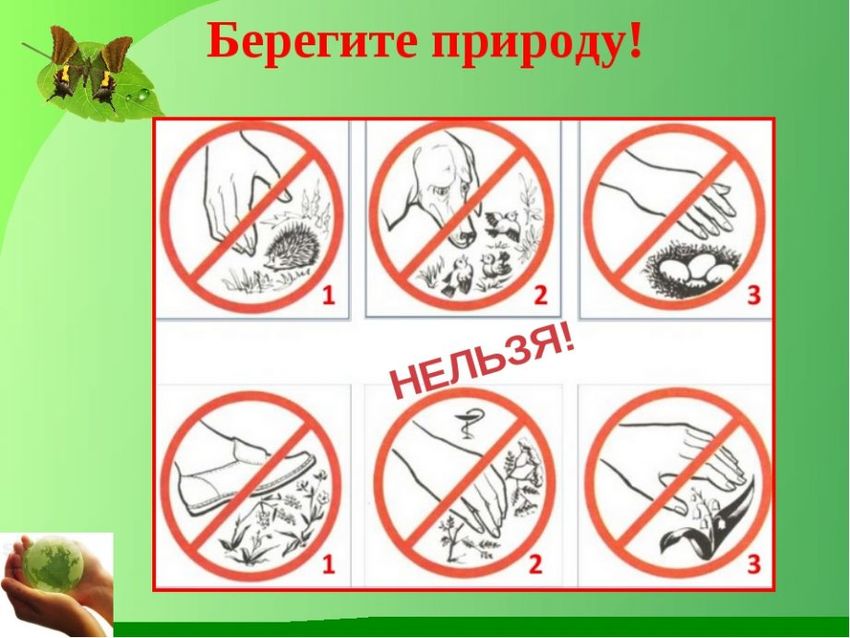 Берегите природу