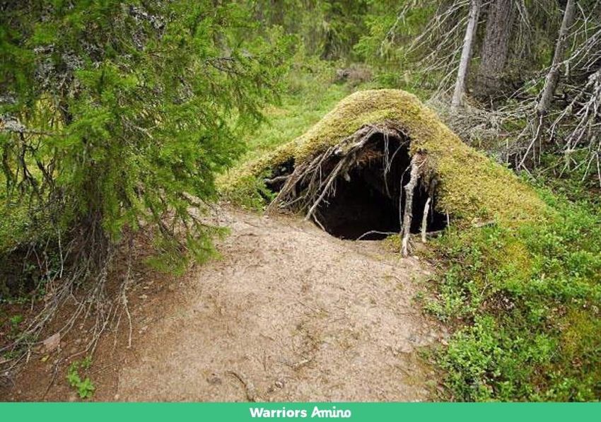 Медвежья берлога