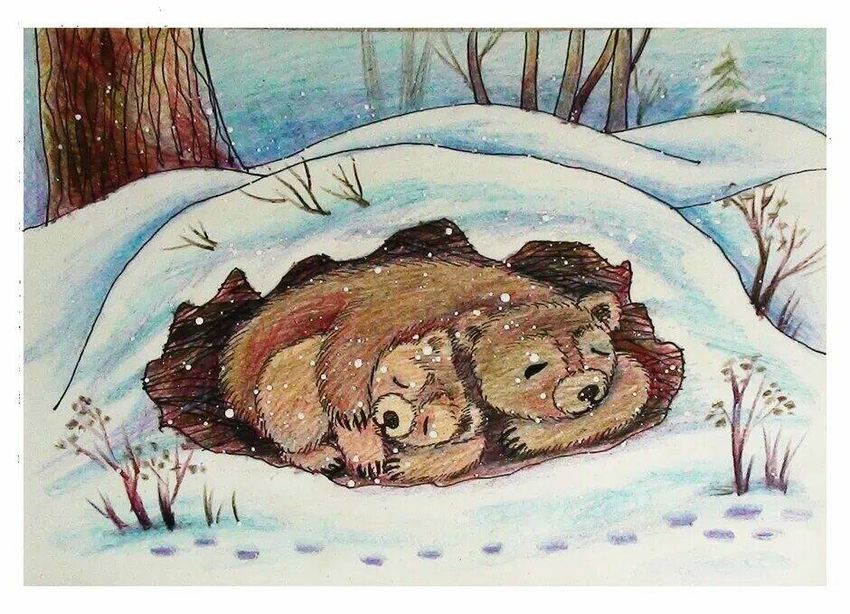 Берлога медведя. медведь в берлоге