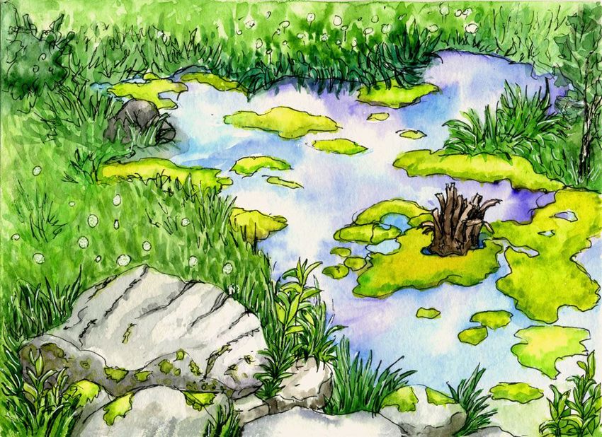 Рисунок болото для детей