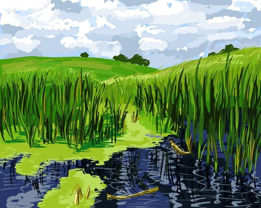 Рисунок болота