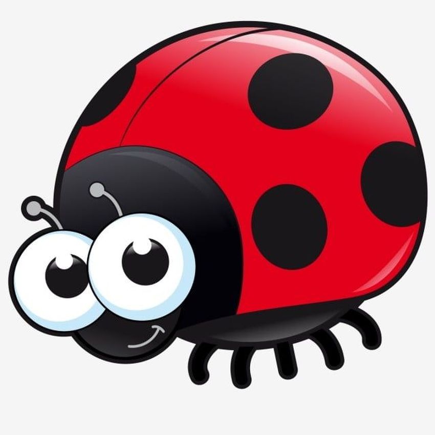 Ladybug божья коровка