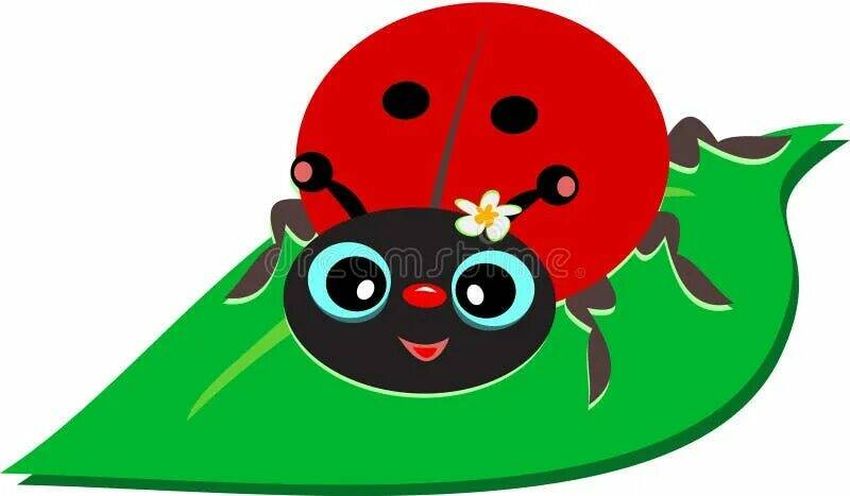 Божья коровка на листике