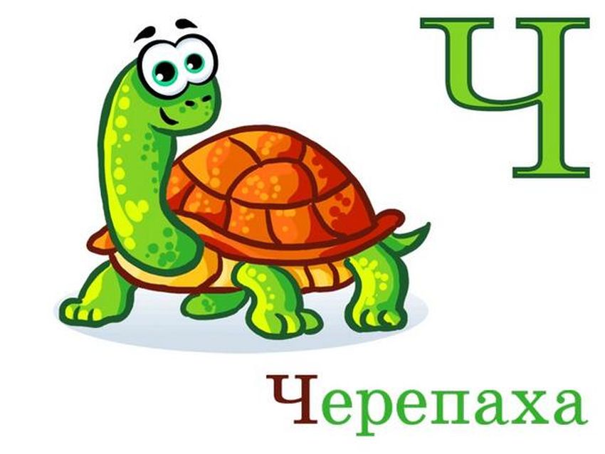 Буква ч черепаха