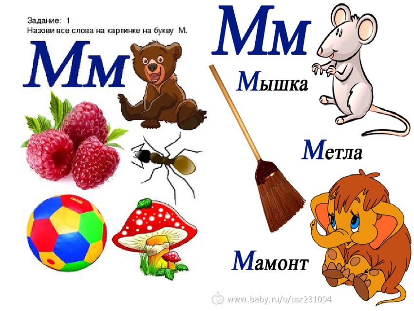 Слова на букву м для детей