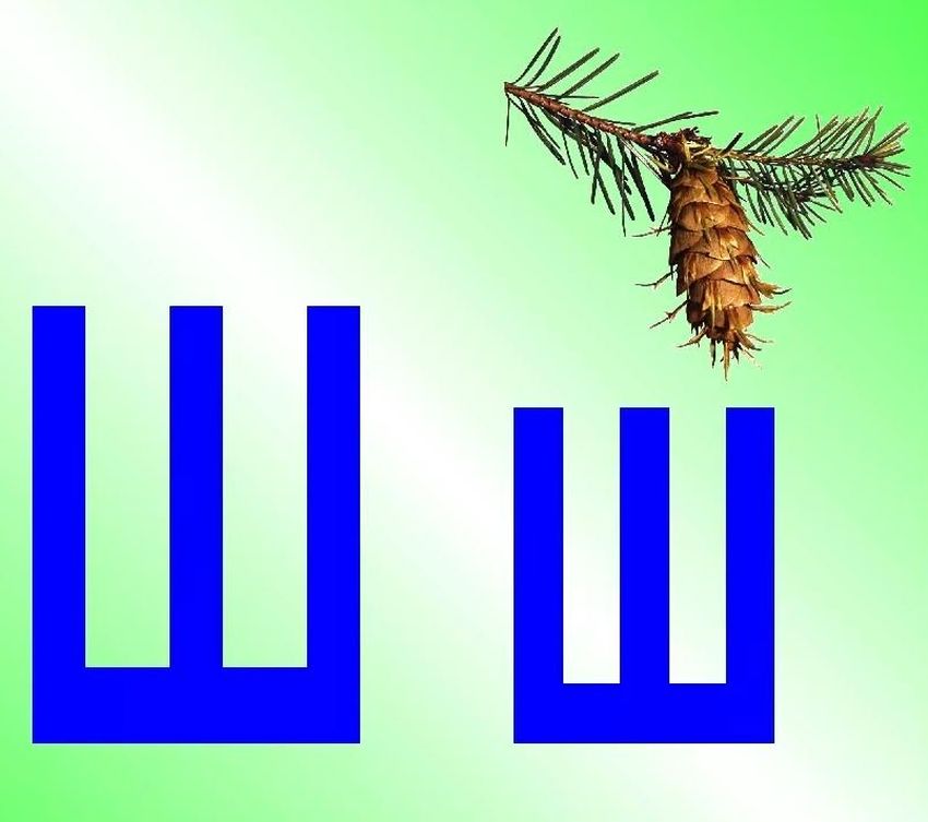 На букву щ