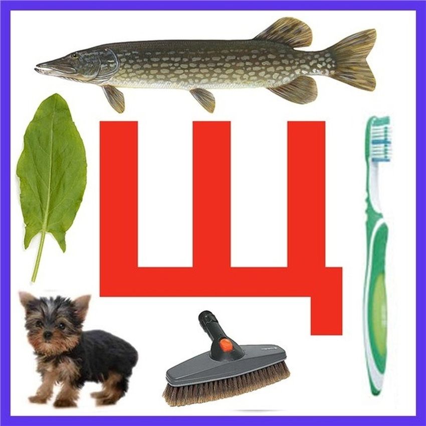 Слова со звуком щ