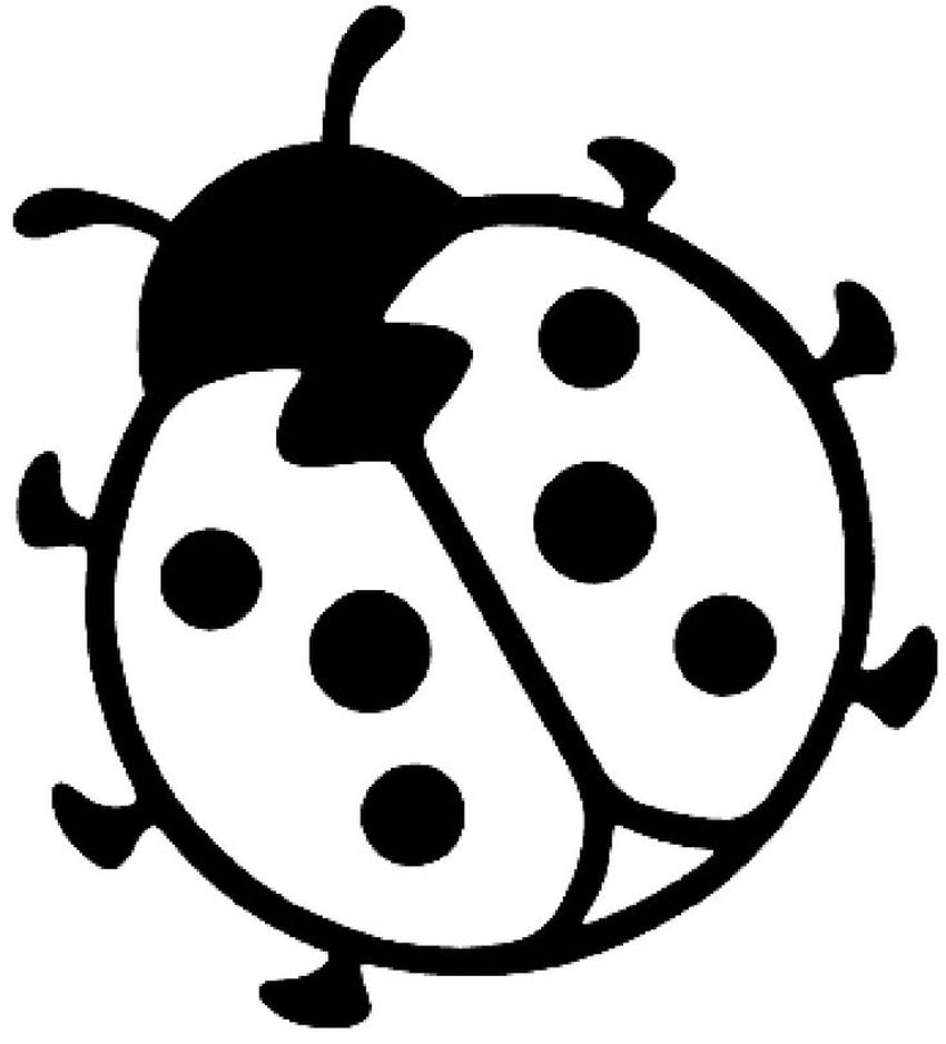 Божья коровка