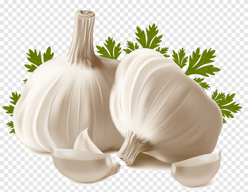 Чеснок