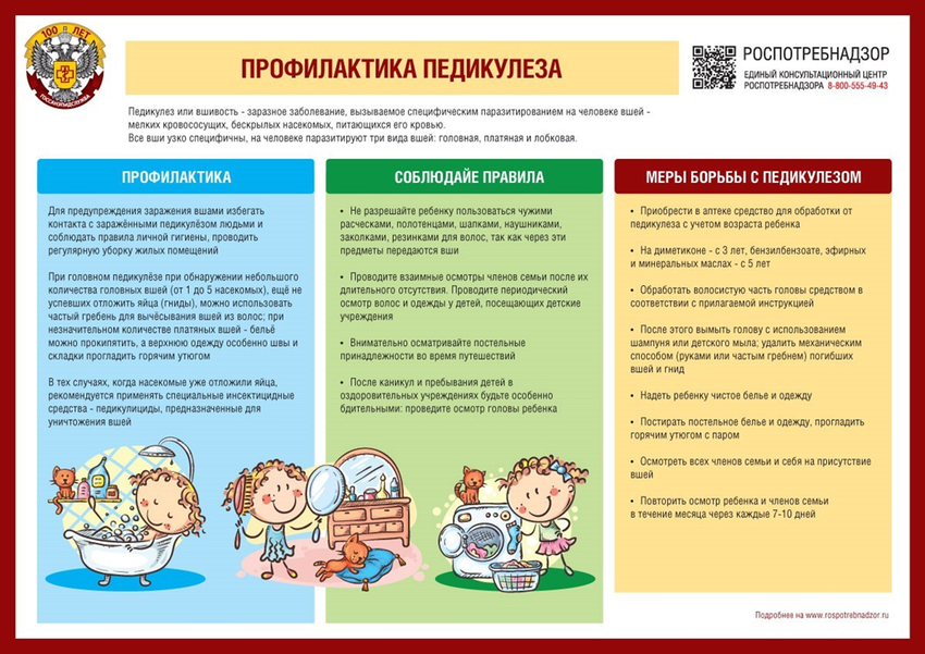 Профилактика педикулеза Санбюллетень профилактика педикулеза