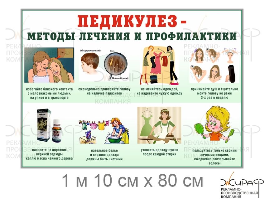 Профилактика педикулеза Педикулёз
