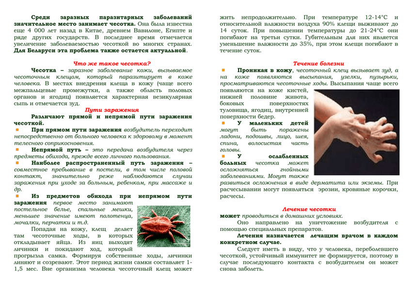 Иксодовые клещи памятка для родителей Буклет заболевание чесотка