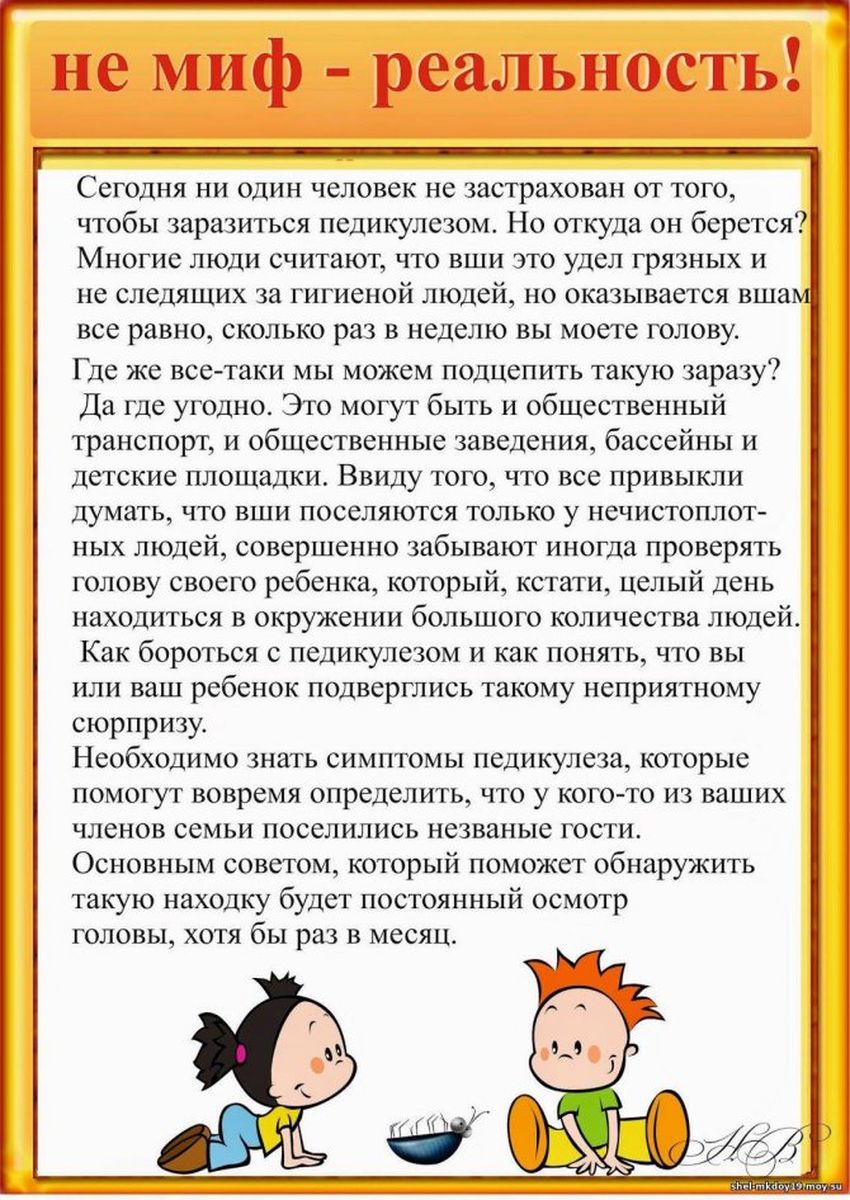 Памятка для родителей педикулез у детей Педикулез памятка