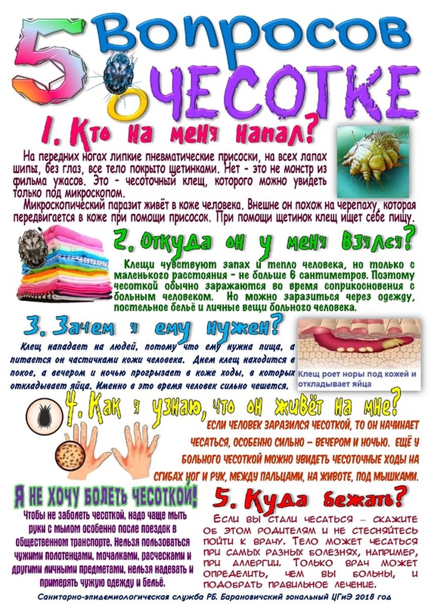 Чесотка памятка Памятка по чесотке для родителей