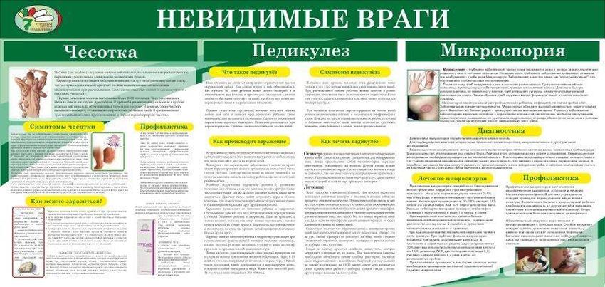 Санбюллетень чесотка и педикулез Санбюллетень