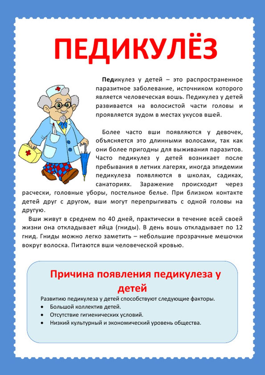 Памятка профилактика педикулеза в доу Профилактика педикулеза