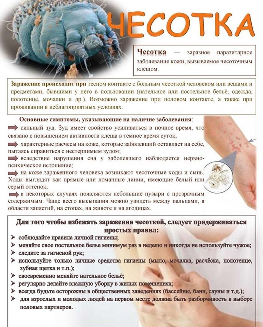 Чесоточный клещ Чесотка