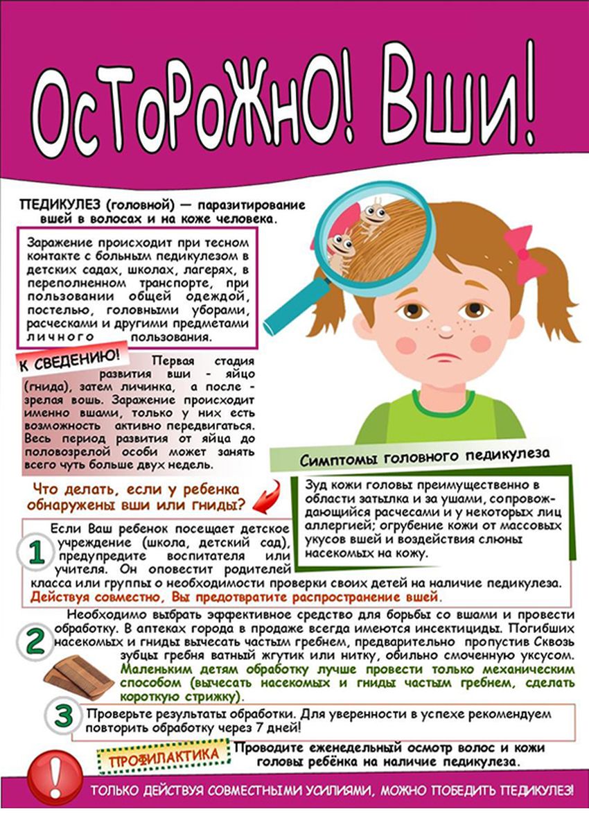 Профилактика педикулеза у детей Профилактика педикулеза