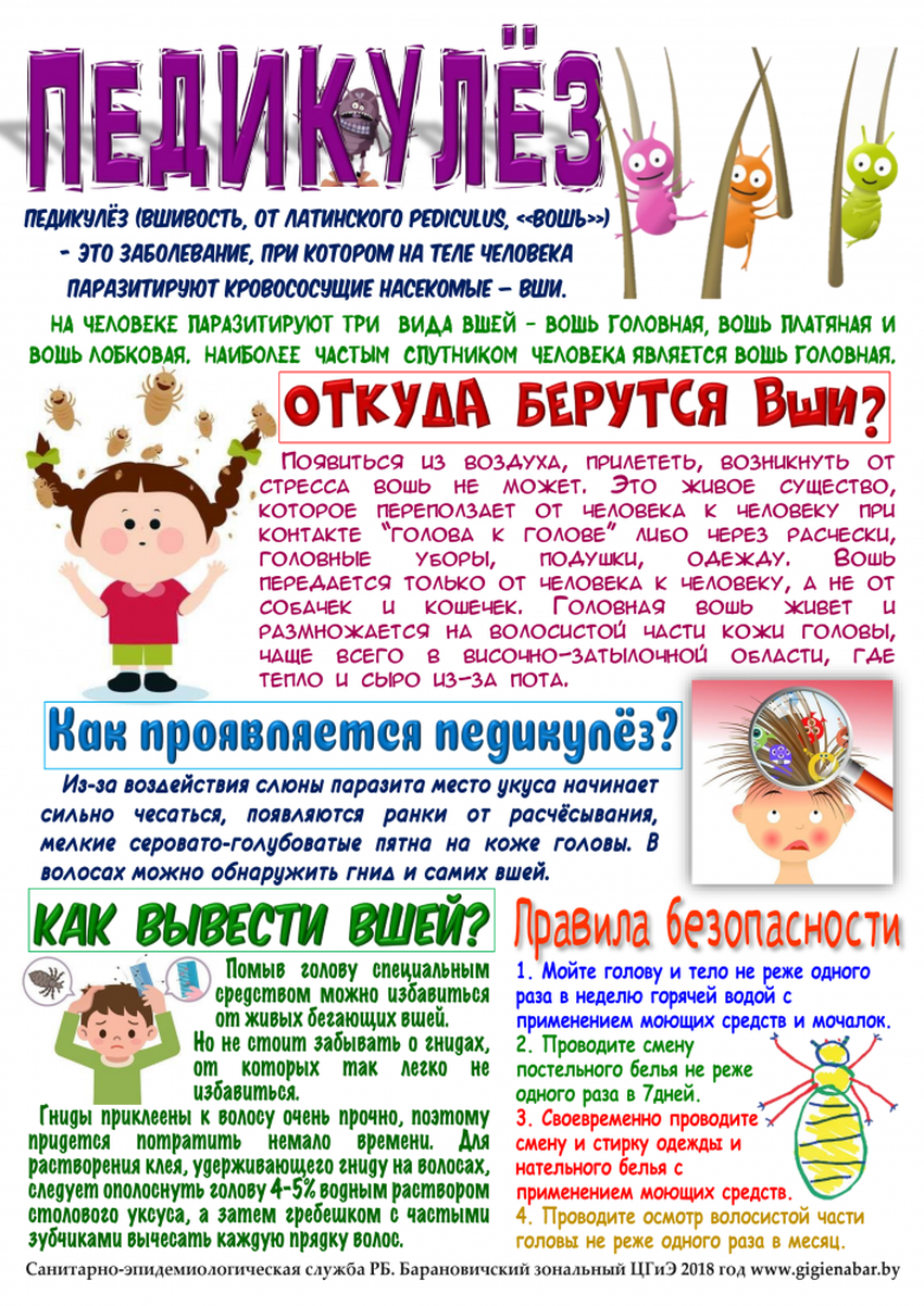 Профилактика педикулеза Профилактика педикулеза памятка