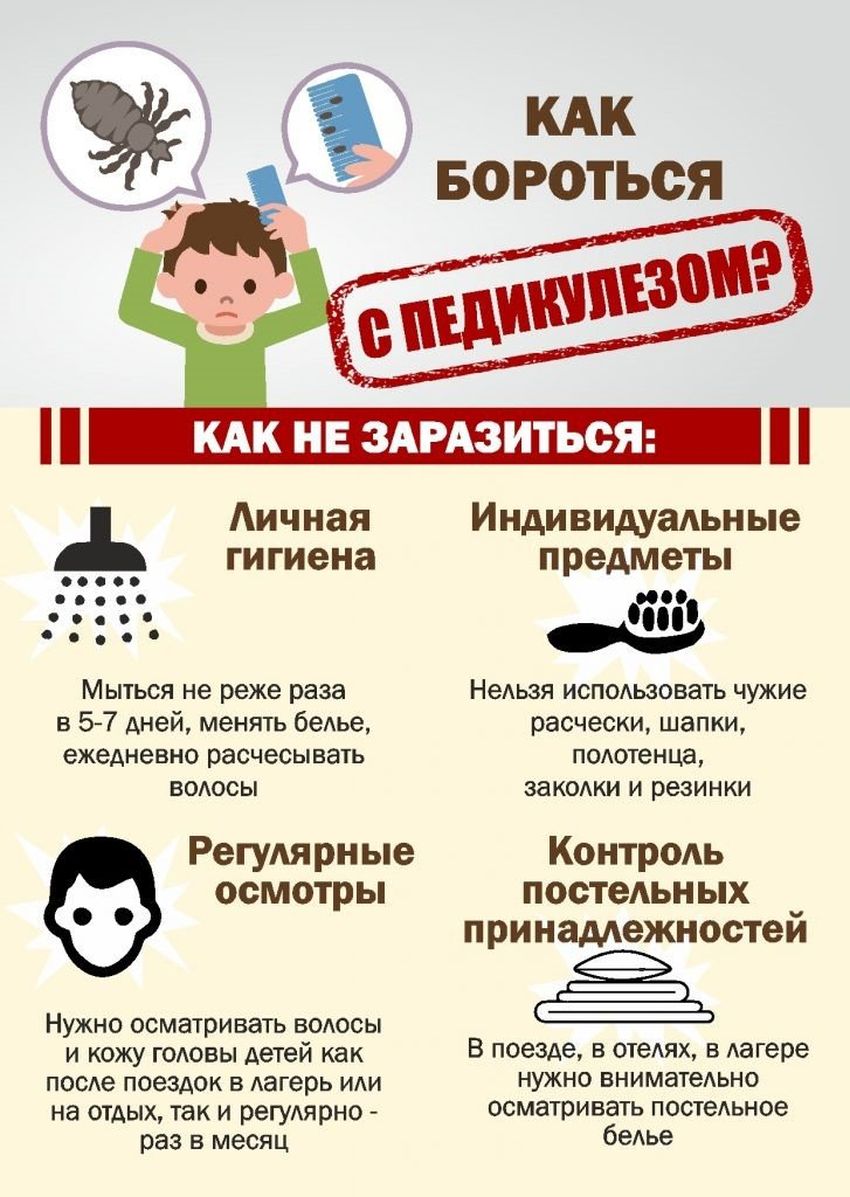 Педикулез памятка Профилактика педикулеза