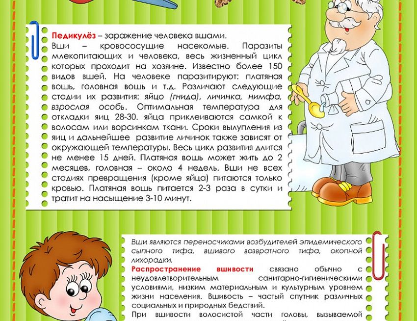 Педикулез консультация для родителей в детском саду Памятка для родителей