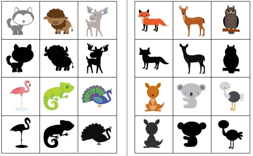 Найди тень Игра найди тень