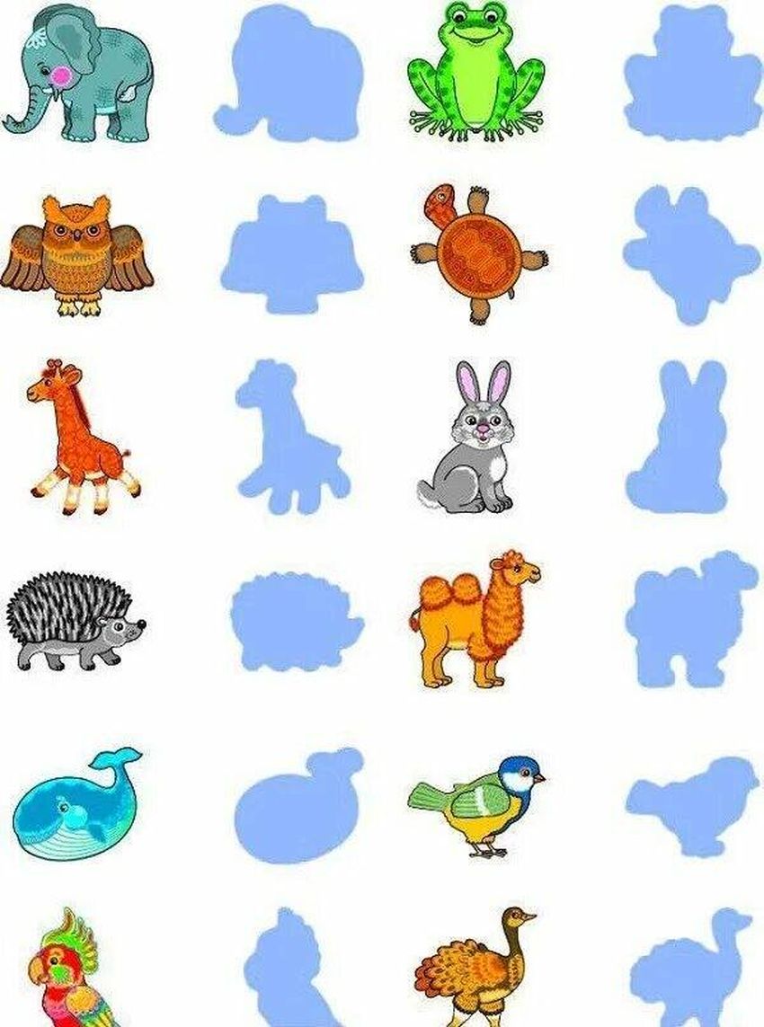 Найди тень Чья тень