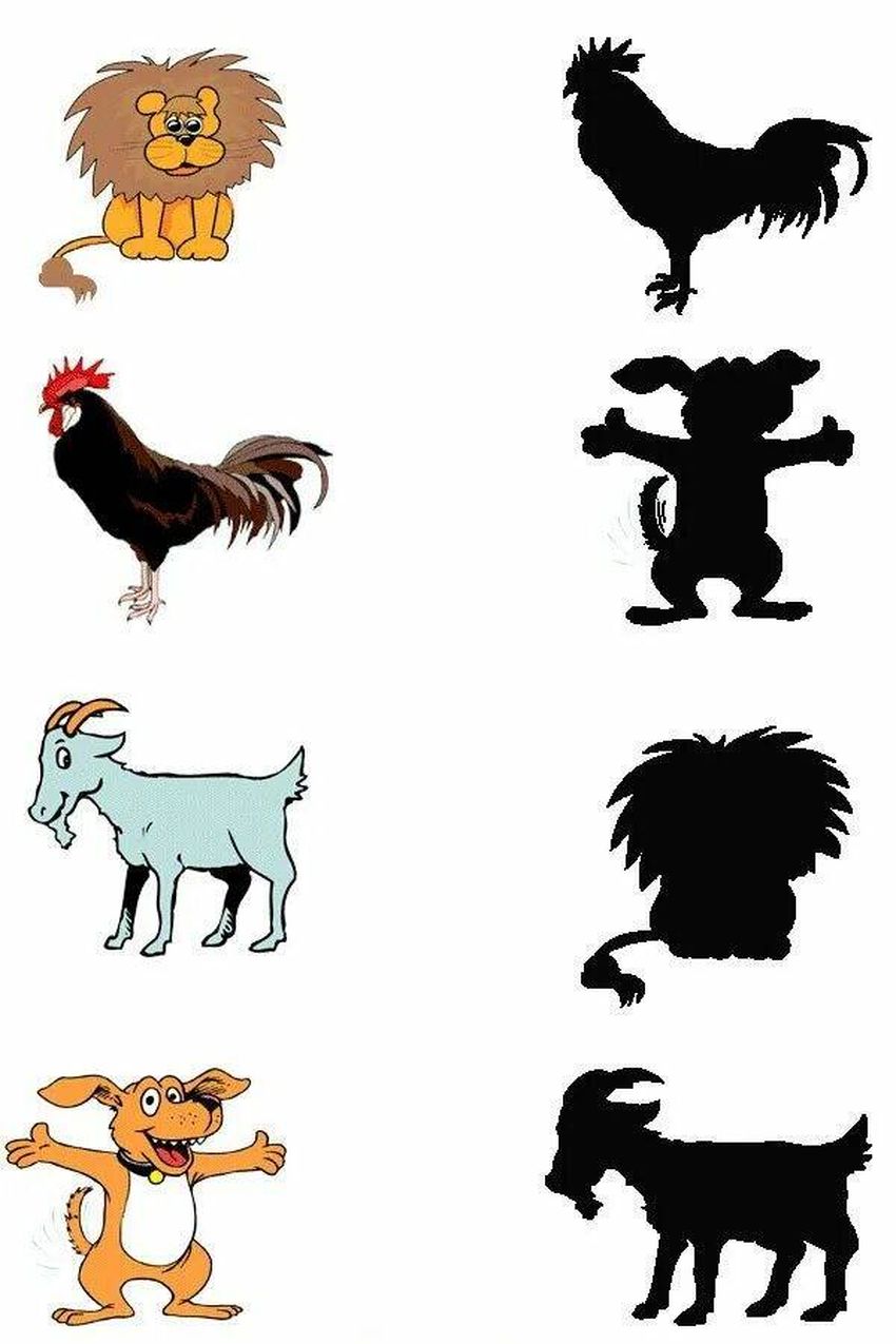 Найди тень Игра найди тень